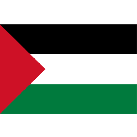 Palestine Flag