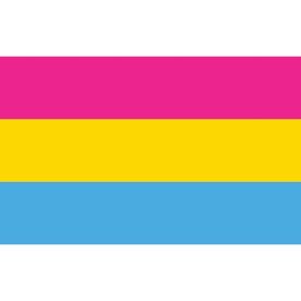 Pansexual Flag 8ft x 5ft