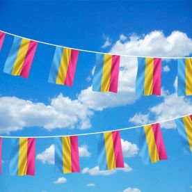 Pansexual Bunting 