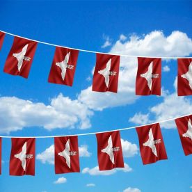 Parachute Regiment Flag Bunting