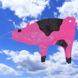 Pig Windsock