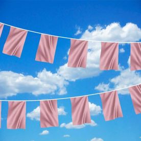 Pink Bunting 