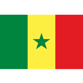 Big Senegal Flag