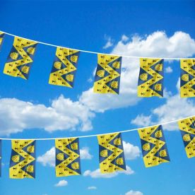 Shropshire Bunting