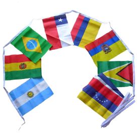 South American Bunting