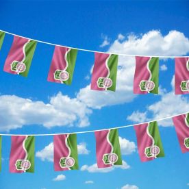 South Yorkshire Bunting