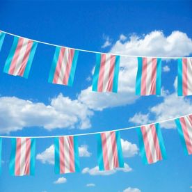 Transgender Bunting