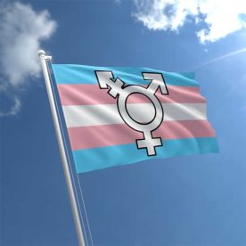 Transgender Symbol flag