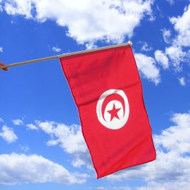 Tunisia Hand Waving Flag