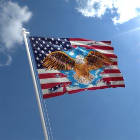 USA Eagle Flag