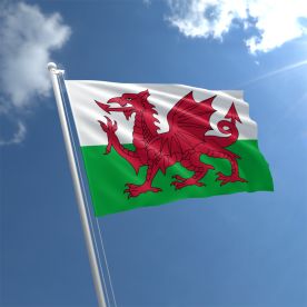 Welsh Flag