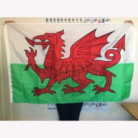 Sewn Welsh Dragon flag