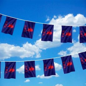 Royal Welch Fusiliers Flag Bunting