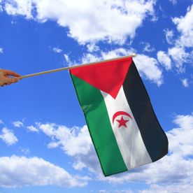 Western Sahara Hand Waving Flag