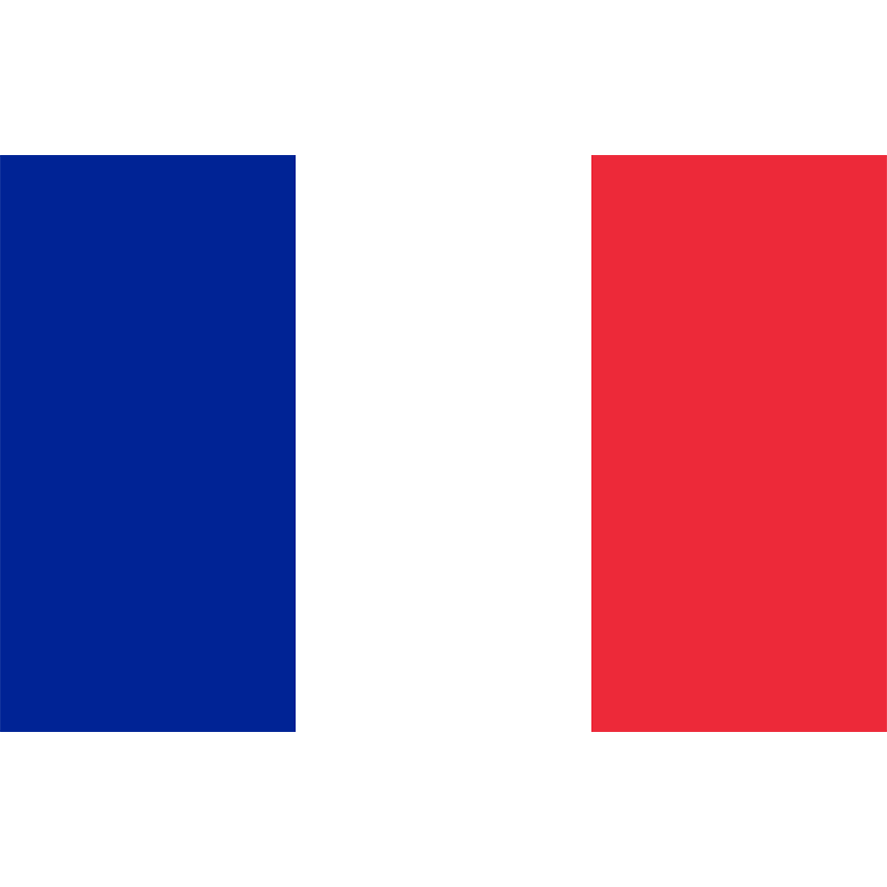Large French Flag | Giant French Flag | The Flag Shop