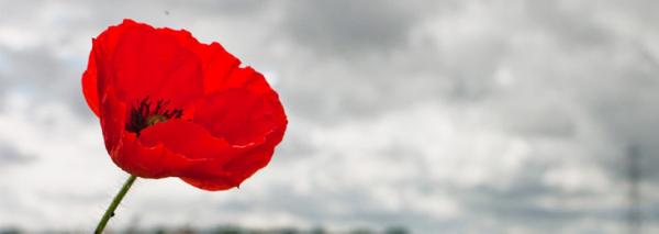 Remembrance Day 2020 - A time to pull together in gratitude…