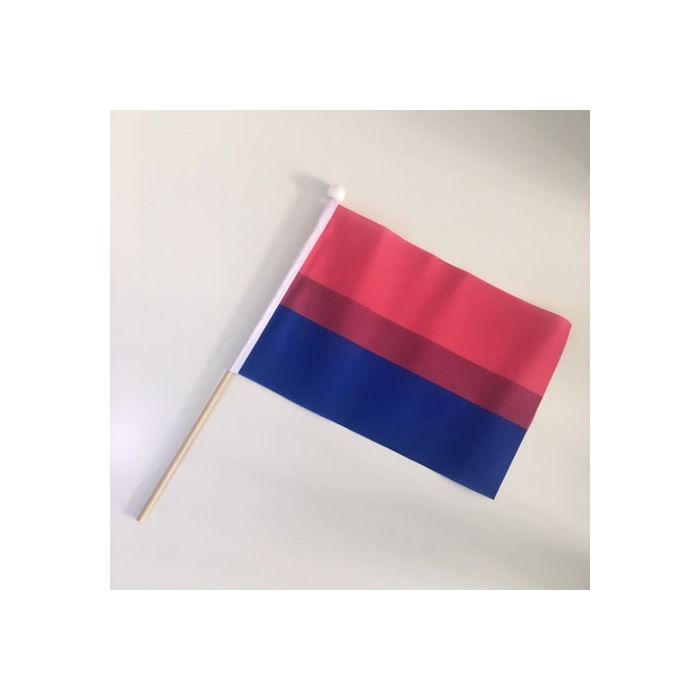 Pack Of 12 Guinea-Bissau Hand Waving Flags 9" x 6"