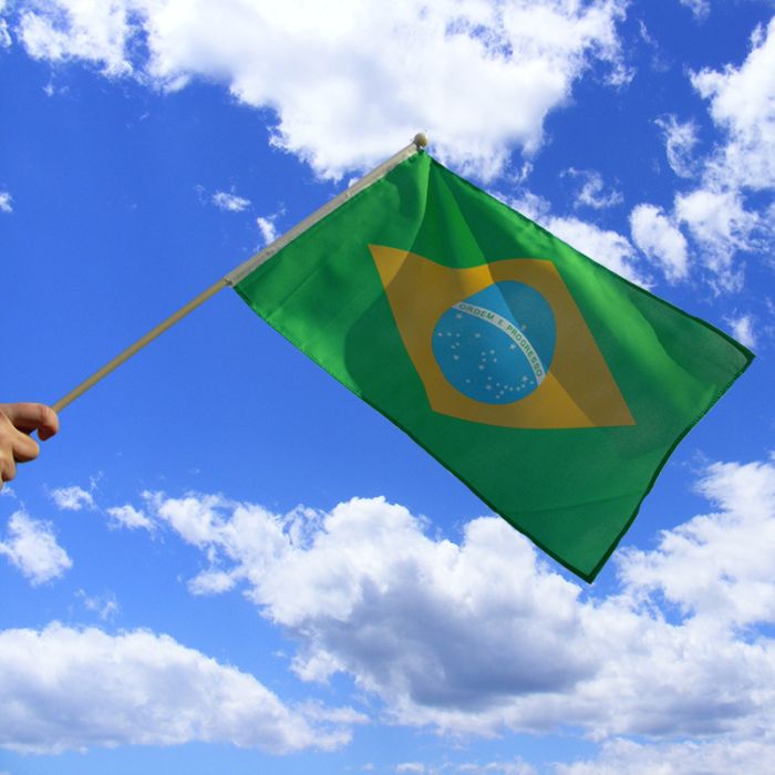 BRAZIL HAND WAVING FLAG medium 9" X 6" wooden pole flags BRAZILIAN BRAZILIA 
