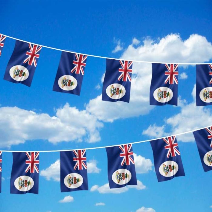 10 flag bunting Derbyshire British County 3 metre long 