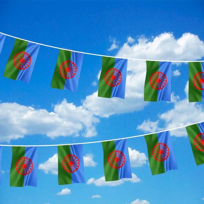Details about   Gypsy 20 flag bunting 6 metre long 