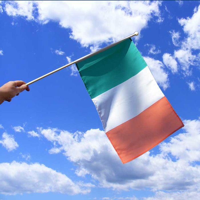 Irish Hand Waving Flag St Patricks Day Ireland 29x17cm w/Stick Waver Flags 
