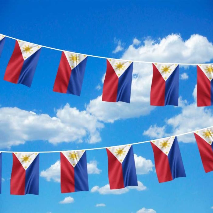 30 flags Philippines National Bunting 9 metres long 