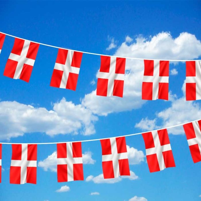 France Savoy Polyester Flag Bunting 3m long with 10 Flags 