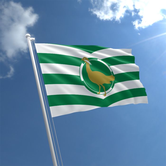 New Design Wiltshire Flag 5 x 3ft Flag Comes With FREE  BALL TIES 