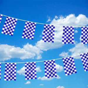 Blue & White Chequered Bunting