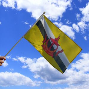 Brunei Hand Waving Flag