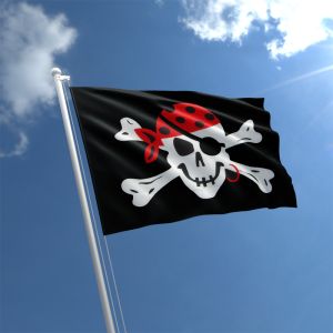 ONE EYED JACK PIRATE 3 metre BUNTING 10 FLAGS flag 