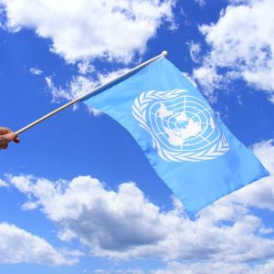 United Nations Hand Flag
