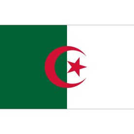 Algeria Flag 8Ft X 5Ft