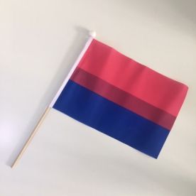 Small Bi Pride hand flag