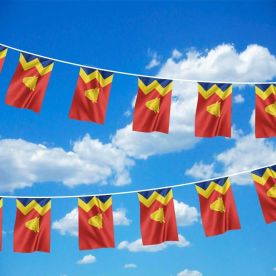 20 flag bunting Sussex British County 6 metre long 