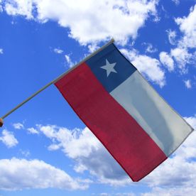 Chile Hand Waving Flag