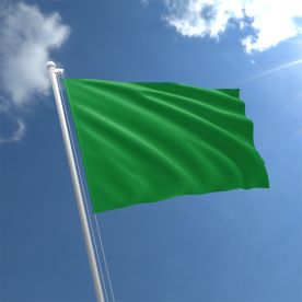 Plain Green Flag - Nylon