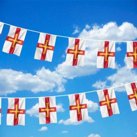 Denmark Greenland Flag Bunting 6m long with 20 Flags 