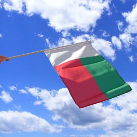 Madagascar Hand Waving Flag