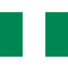 Nigeria Flag 8Ft X 5Ft