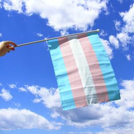 Transgender Hand Waving Flag
