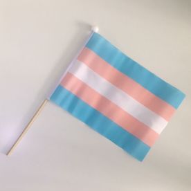 Small Transgender hand flag