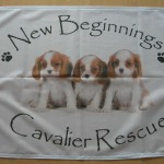 More Custom Design Flags!