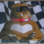 NEW CUSTOM DESIGNED FLAGS!!