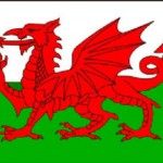 RUGBY WORLD CUP QUARTER FINALS - SUPPORT YOUR TEAM AND FLY THE FLAG!