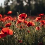 Lest We Forget